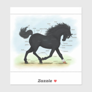 Black Beauty Parts of the Horse Anatomy Chart Sticker