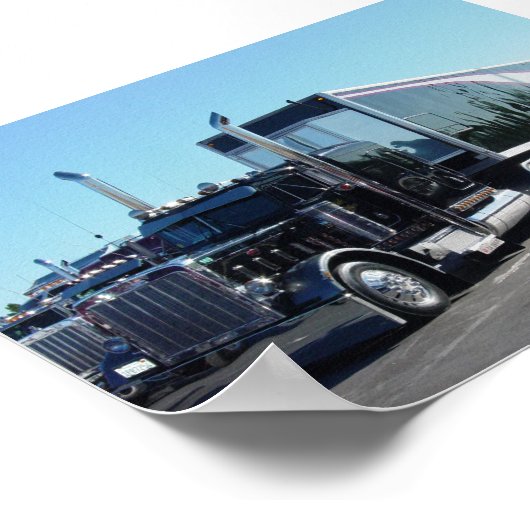 Black Beauty Poster (Hoek)