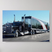 Black Beauty Poster (Voorkant)