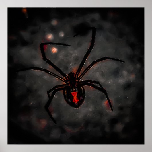 Black Beauty Poster (Voorkant)