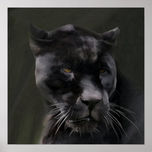 Black Beauty Poster (Voorkant)