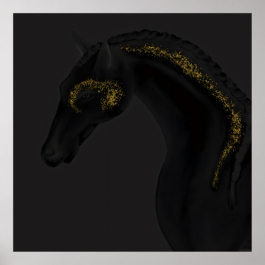 Black Beauty Poster (Voorkant)