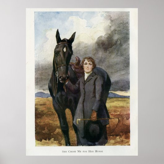 Black Beauty poster - Afschildering van zeeboekenb (Voorkant)