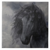 Black Beauty tegel Tegeltje (Voorkant)