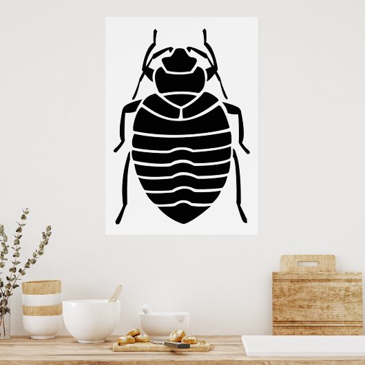 Black Bedbug Insect Poster (Keuken)