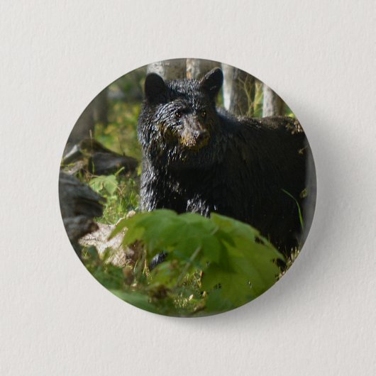 Black Beer Hiding in Forest Wildlife Foto Ronde Button 5,7 Cm (Voorkant)