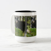 Black Beer Hiding in Forest Wildlife Foto Tweekleurige Koffiemok (Voorkant links)