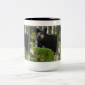 Black Beer Hiding in Forest Wildlife Foto Tweekleurige Koffiemok (Center)