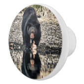 Black Beer Reflections Keramische Knop (Rechts)