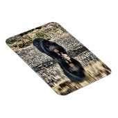 Black Beer Reflections Magneet (Rechterzijde)