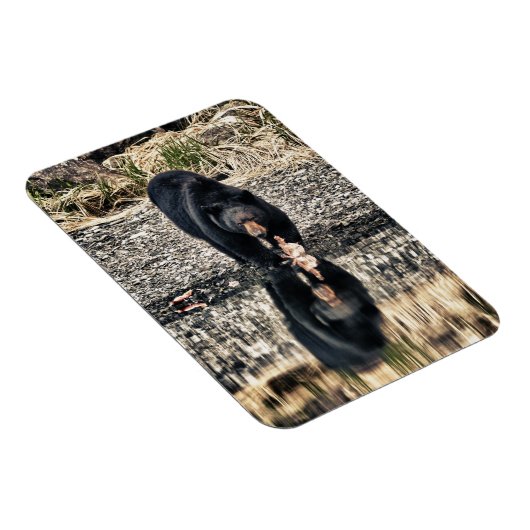 Black Beer Reflections Magneet (Rechterzijde)