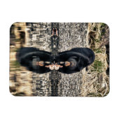 Black Beer Reflections Magneet (Horizontaal)