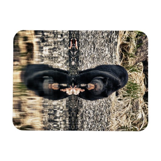 Black Beer Reflections Magneet (Horizontaal)