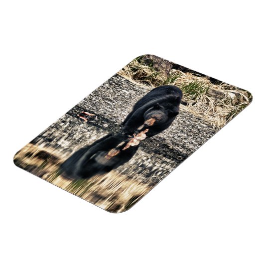 Black Beer Reflections Magneet (Linkerzijde)