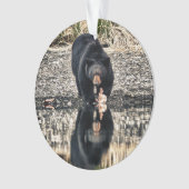 Black Beer Reflections Ornament (voorkant)