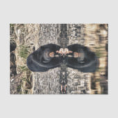 Black Beer Reflections Tissuepapier (Voorkant)