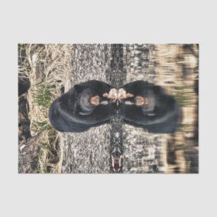 Black Beer Reflections Tissuepapier