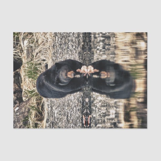 Black Beer Reflections Tissuepapier (Voorkant)