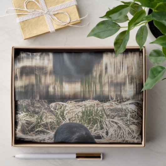 Black Beer Reflections Tissuepapier (Geschenk)