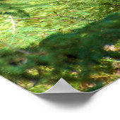 Black Beer 'Scenting' Poster (Hoek)