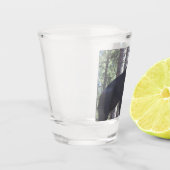 Black Beer Shot Glass Glas (Links)