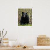 BLACK BEER Wildlife Animal Photo Poster (Keuken)