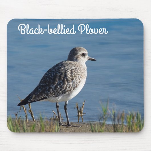 Black Bellied Plover Muismat (Voorkant)