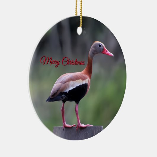 Black Bellied Whistling Duck, Vrolijk Kerstfeest Keramisch Ornament (Rechts)