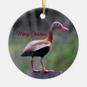 Black Bellied Whistling Duck, Vrolijk Kerstfeest Keramisch Ornament (Voorkant)