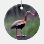 Black Bellied Whistling Duck, Vrolijk Kerstfeest Keramisch Ornament (Achterkant)
