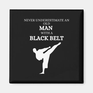 Black Belt Gezegde Karate Martial Arts Magneet