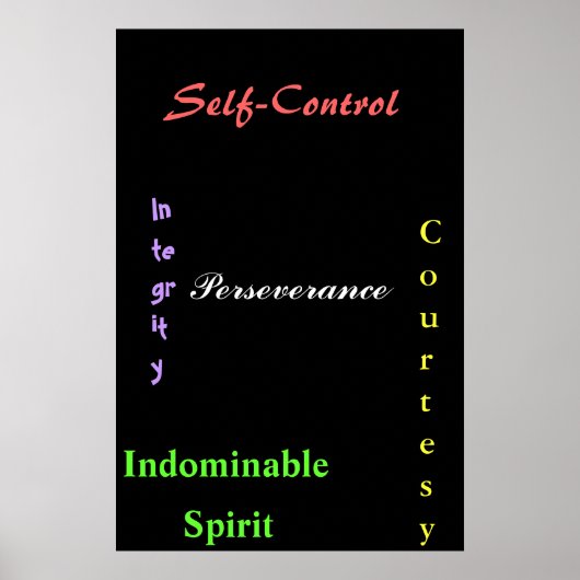 Black Belt Tenents Poster (Voorkant)