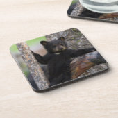 Black Beren Cub Lounging Bier Onderzetter (Linkerzijde)