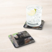 Black Beren Cub Lounging Bier Onderzetter (Rechterzijde)