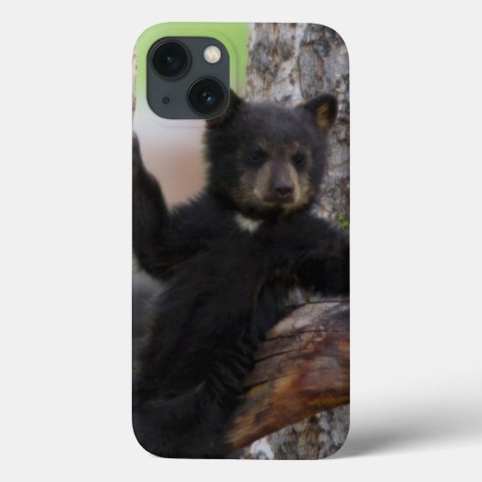Black Beren Cub Lounging Case-Mate iPhone Case (Achterkant)