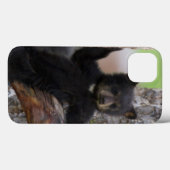 Black Beren Cub Lounging Case-Mate iPhone Case (Achterkant (horizontaal))
