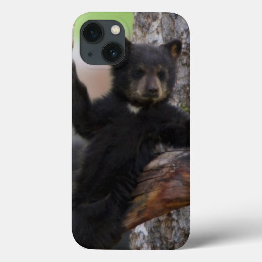 Black Beren Cub Lounging Case-Mate iPhone Case (Achterkant)