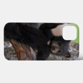 Black Beren Cub Lounging Case-Mate iPhone Case (Achterkant (horizontaal))