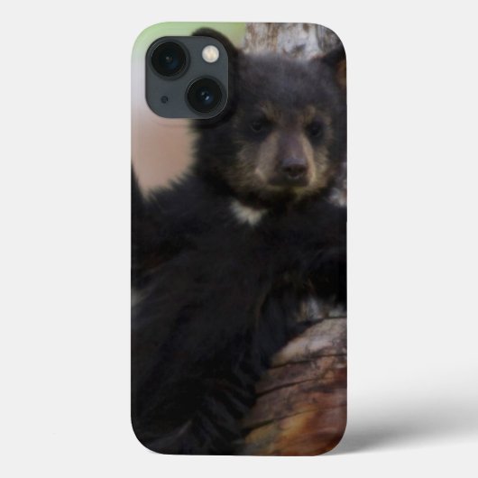 Black Beren Cub Lounging Case-Mate iPhone Case (Achterkant)