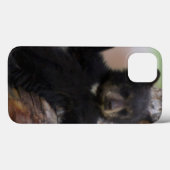 Black Beren Cub Lounging Case-Mate iPhone Case (Achterkant (horizontaal))