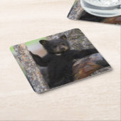 Black Beren Cub Lounging Kartonnen Onderzetters (Schuin)