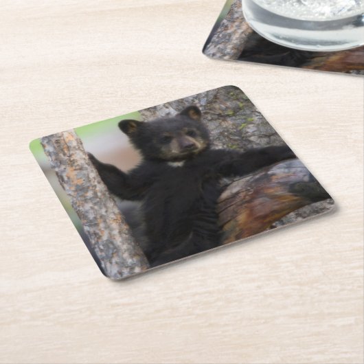 Black Beren Cub Lounging Kartonnen Onderzetters (Schuin)