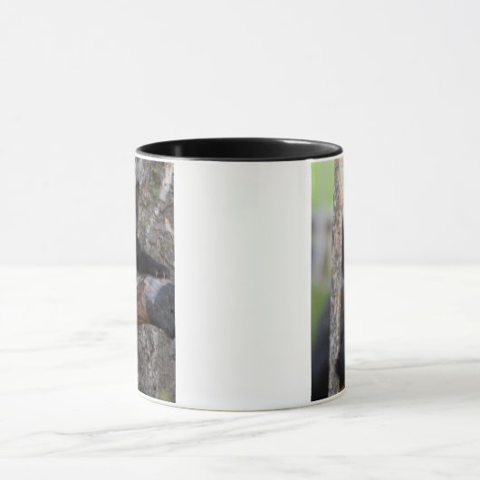 Black Beren Cub Lounging Mok (Midden)