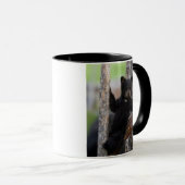 Black Beren Cub Lounging Mok (Voorkant rechts)