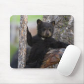 Black Beren Cub Lounging Muismat (Met muis)