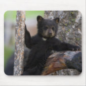 Black Beren Cub Lounging Muismat (Voorkant)