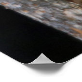 Black Beren Cub Lounging Poster (Hoek)