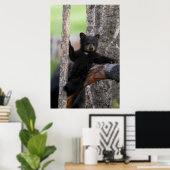 Black Beren Cub Lounging Poster (Thuiskantoor)