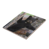 Black Beren Cub Lounging Tegeltje (Zijkant)