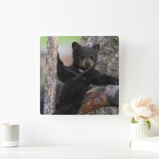 Black Beren Cub Lounging Vierkante Klok (Huis)